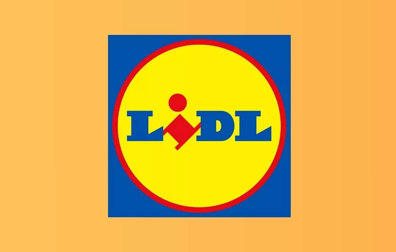 Lidl : Véritable carton pour cette perceuse-visseuse à petit prix