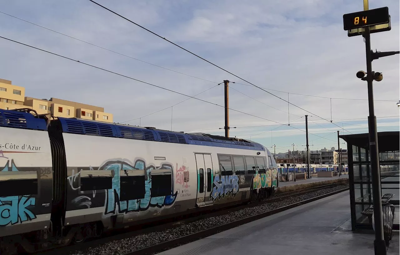 Un homme jugé pour la dégradation de la stèle hommage aux victimes d'attentats à Marseille