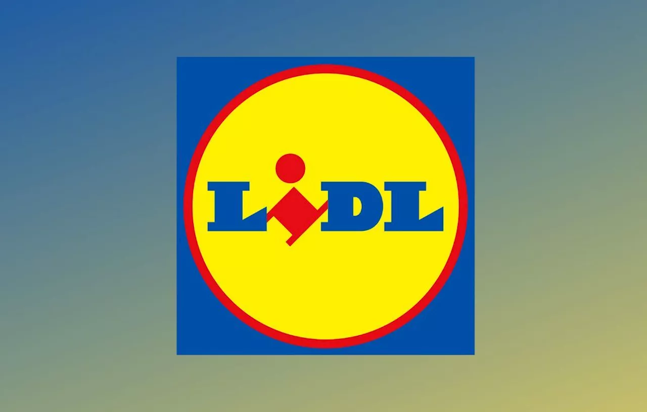 Lidl : Stocks ultra limités pour ces 5 offres bricolage à petit prix