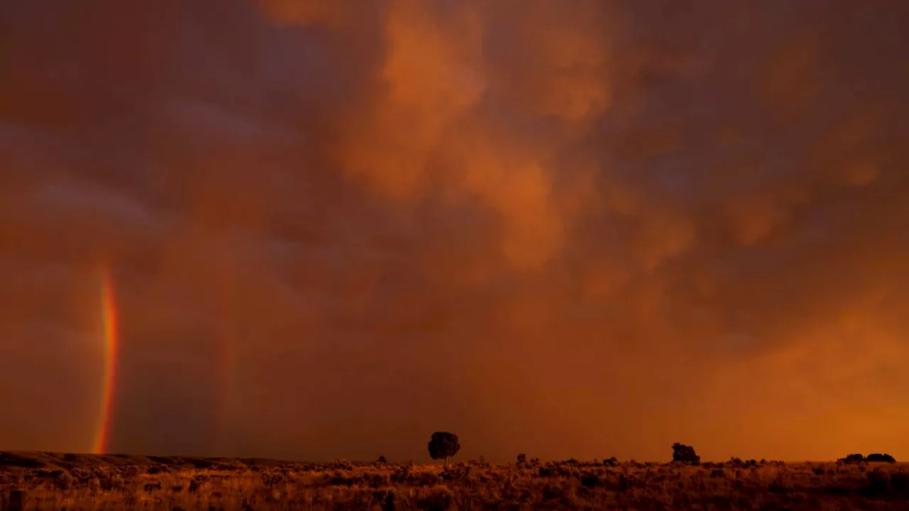 Three missing children who vanished two years ago found alive in tiny desert town in Arizona