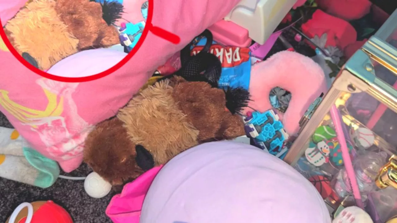 Parents make terrifying discovery in daughter’s bedroom in Picton, southwest Sydney