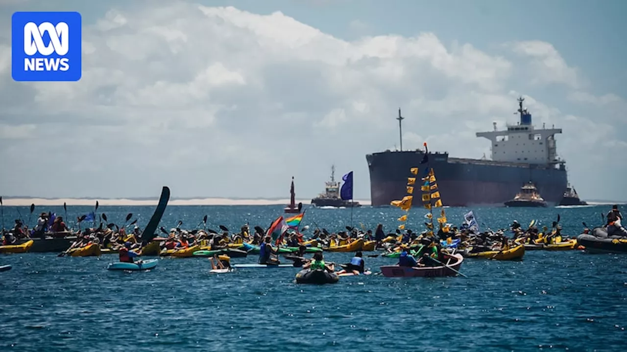 More than 100 arrested during anti-coal protest in Newcastle Harbour