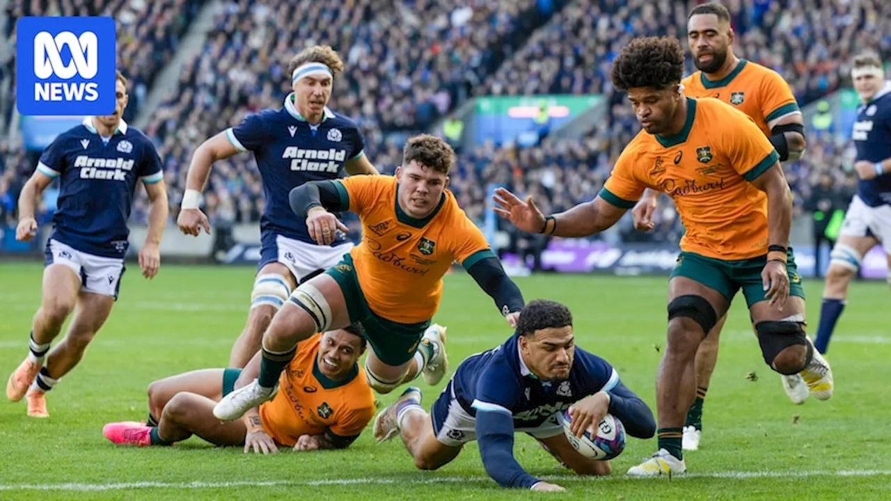 Wallabies did themselves no favours in Test defeat to Scotland but there's light at the end of the tunnel