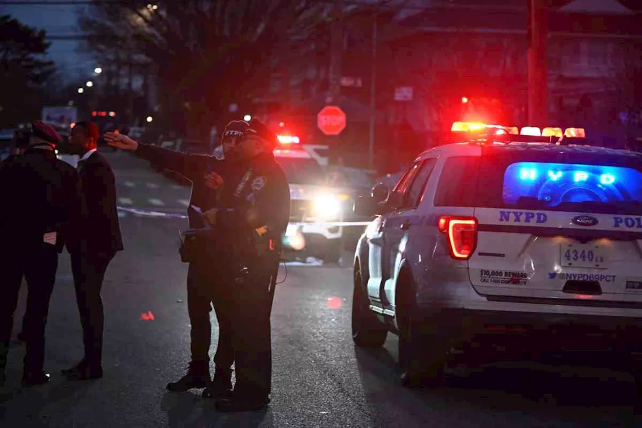 Man in Queens found shot dead behind store: cops