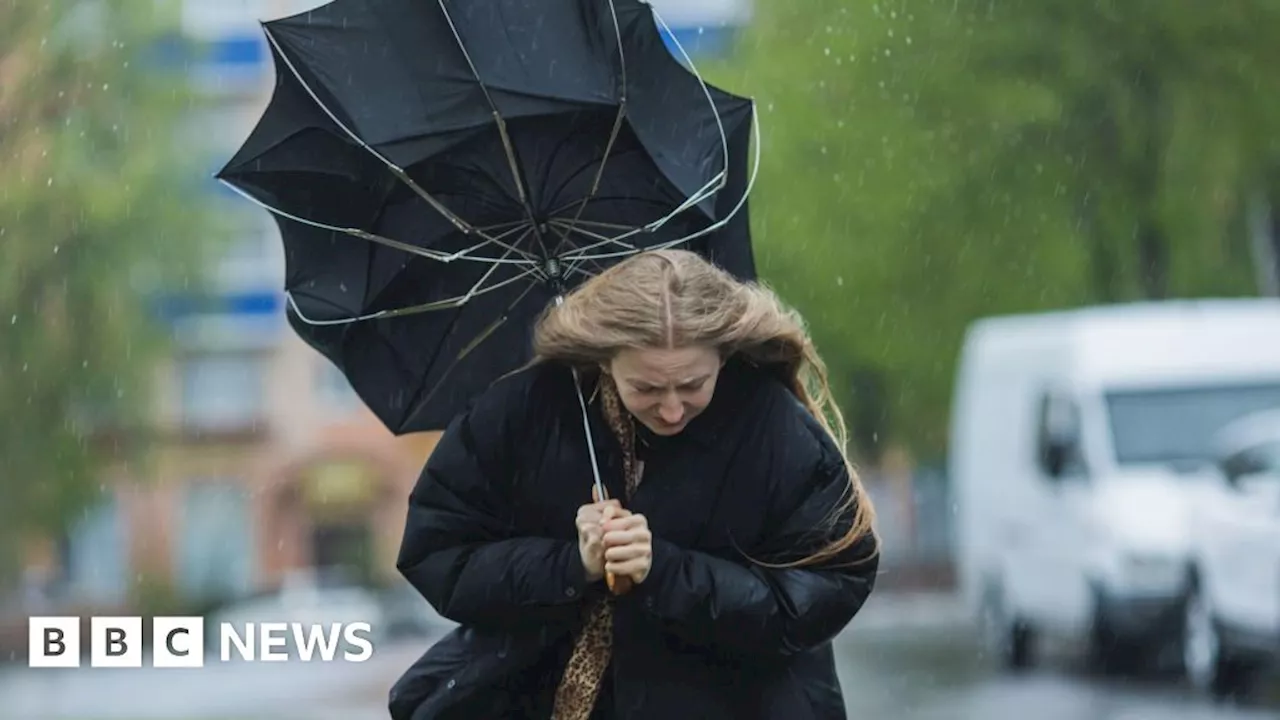 Northern Ireland weather: Yellow warning for high winds issued