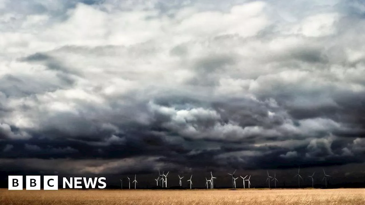 Kent: Storm Bert hits travel and uproots trees