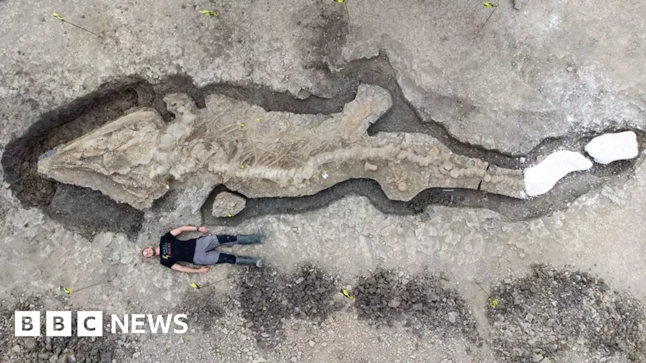 Why sea dragons keep being found in Leicestershire and Rutland