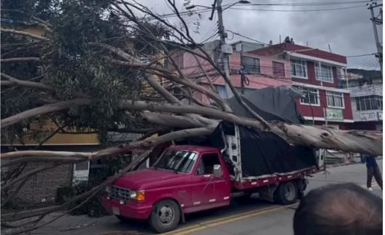 Árbol cae sobre camión en Rafael Uribe Uribe, Bogotá