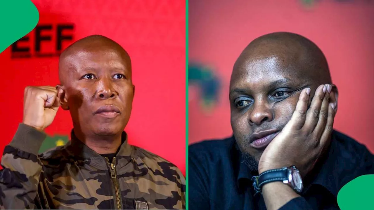 Malema Blames Shivambu for EFF's KZN Election Performance, South Africans React