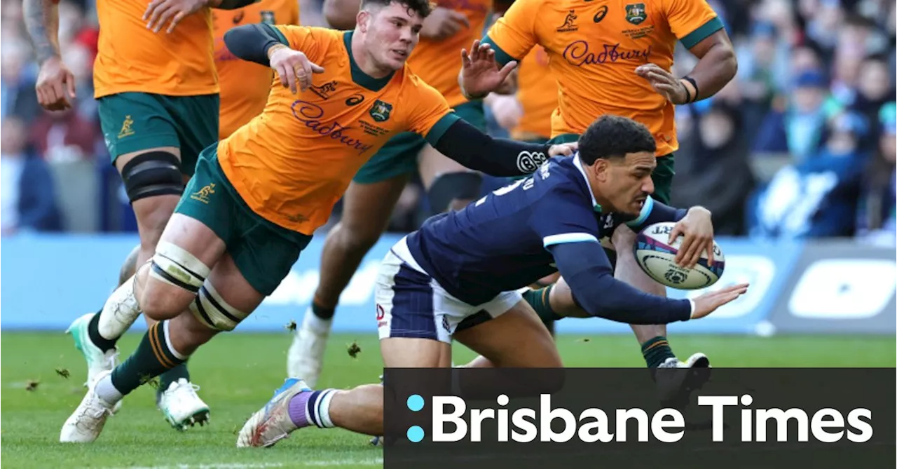 Wallabies' Grand Slam Hopes Dashed by Scotland