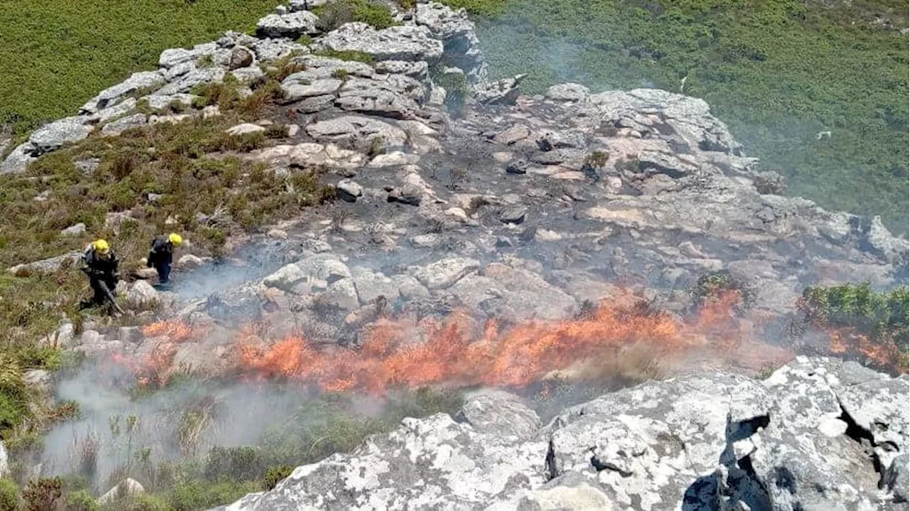 Fire Breaks Out in Table Mountain National Park's Silvermine East