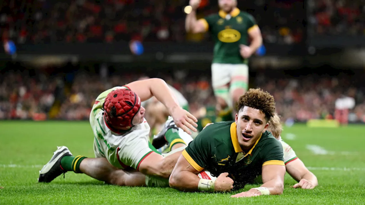 Springboks Dominate Wales in Cardiff, Ending 2024 on a High