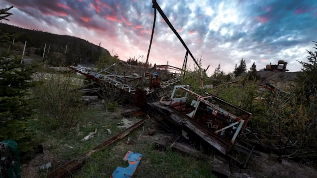 Bat-ridden Trinity Loop is up for grabs — again — as province searches for buyer for derelict property