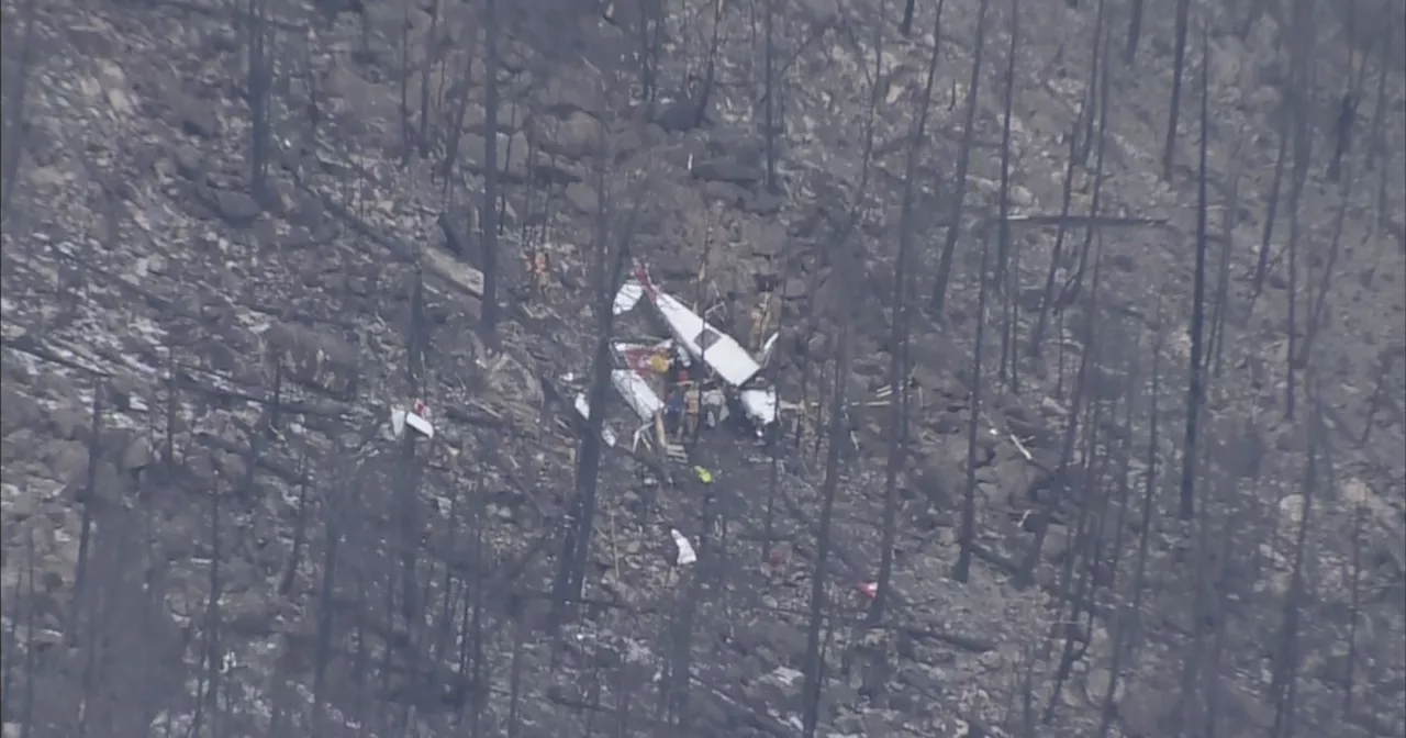 2 killed in U.S. Civil Air Patrol plane crash near Palisade Mountain in Northern Colorado