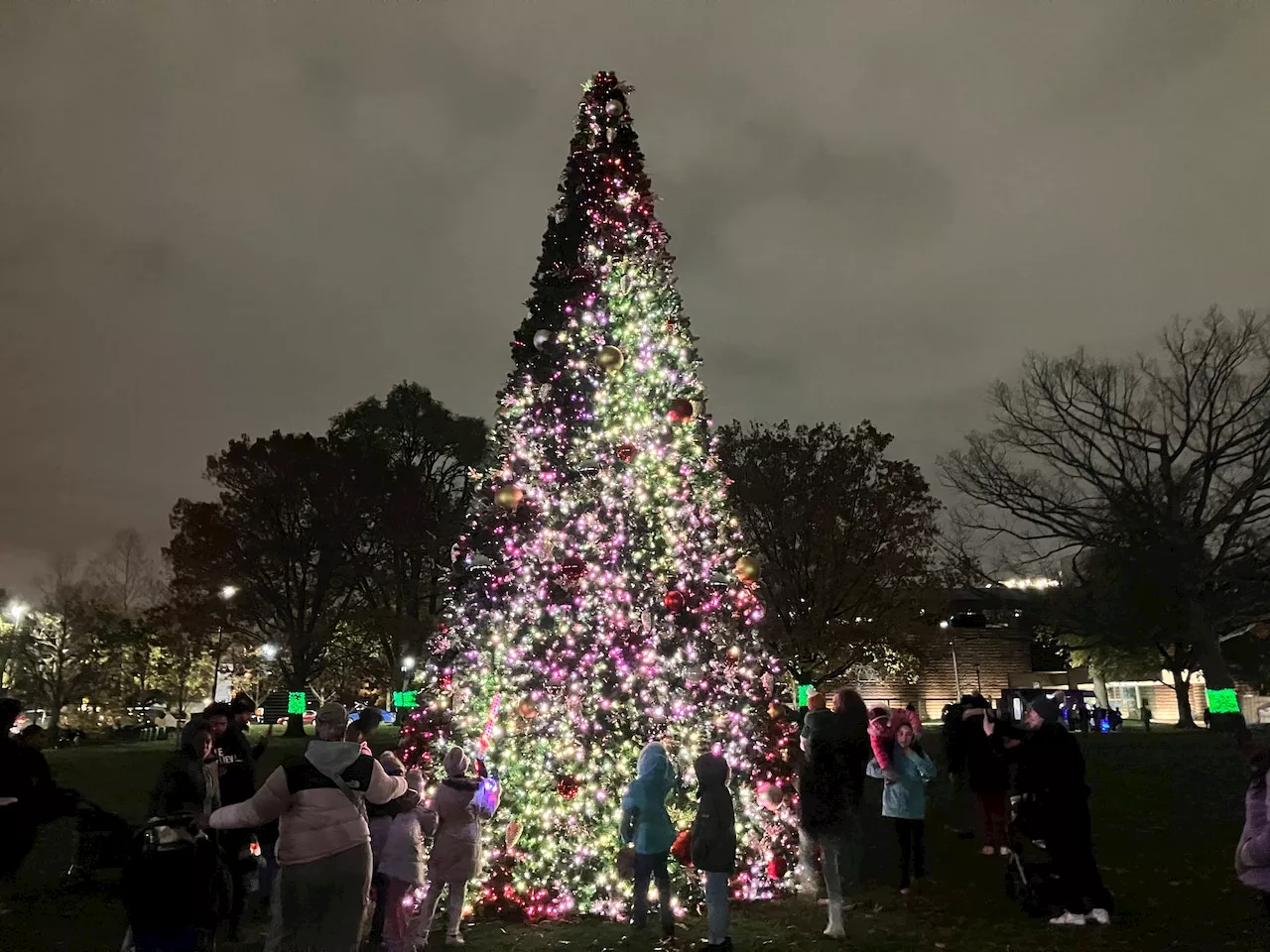 Wade Oval has first ever “Illuminate the Circle” with tree lighting