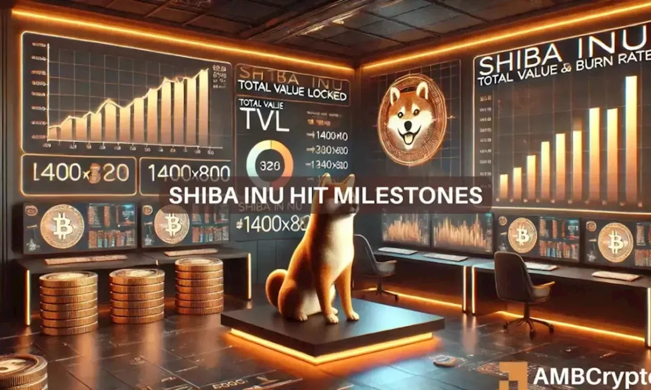 Shibarium Tvl Surges Impact On Shiba Inus Burn Rate Shibs Price