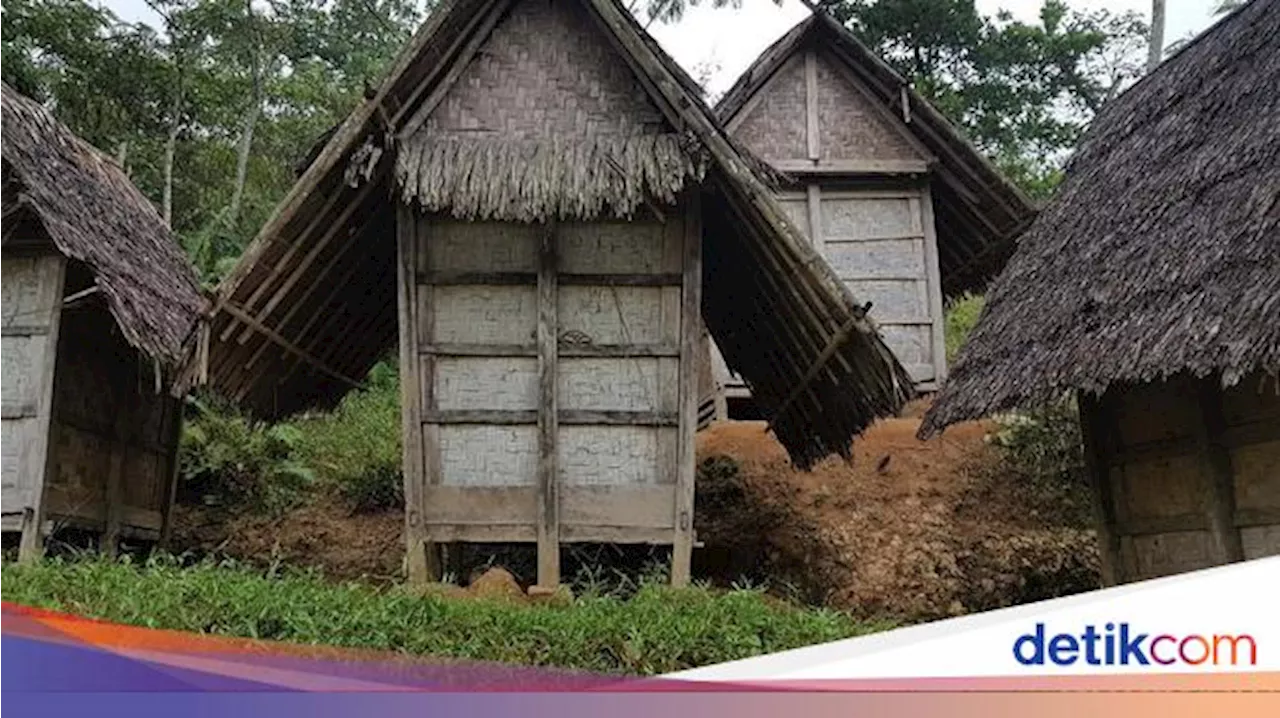 Kegagalan Proyek Ketahanan Pangan, Suku Badui Berjaya