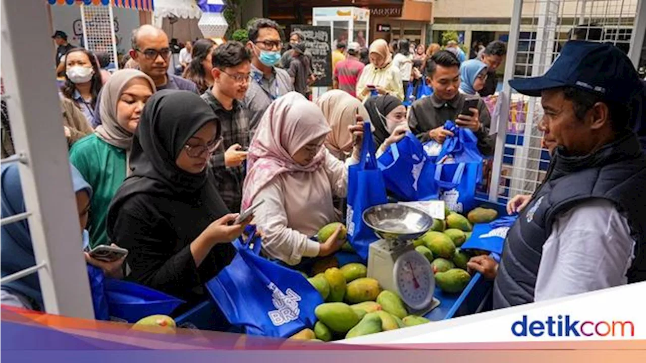 Diberdayakan BRI, Petani Mangga Mampu Perluas Lahan-Perbaiki Taraf Hidup