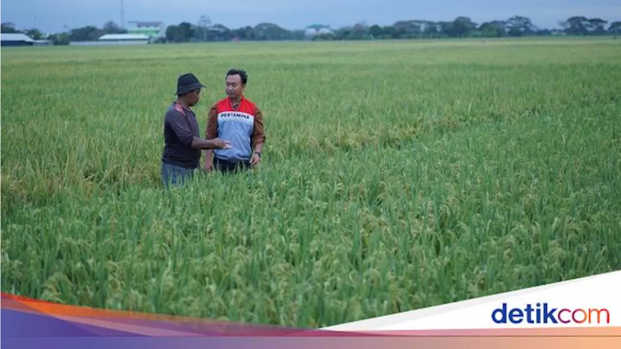 Pertamina Hadirkan Energi Berkelanjutan untuk Petani di Indramayu