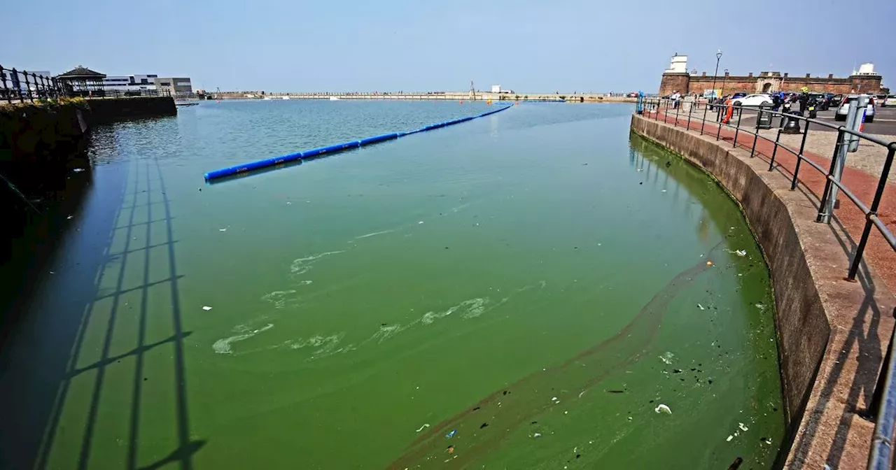 Lake 'literally thousands don’t give a damn' about needs cleaning up