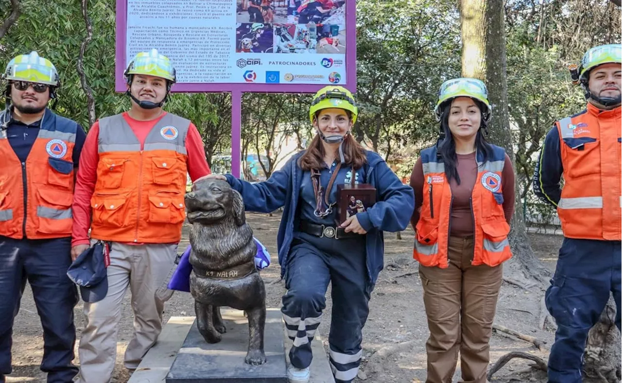 Escultura de Bronce en Honor a la Heroica Golden Retriever Nahla en el Parque Álamos