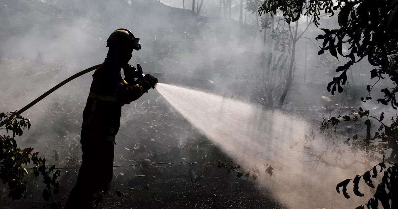 Nazaré: “Foi um incêndio com três frentes ativas, difícil de combater”