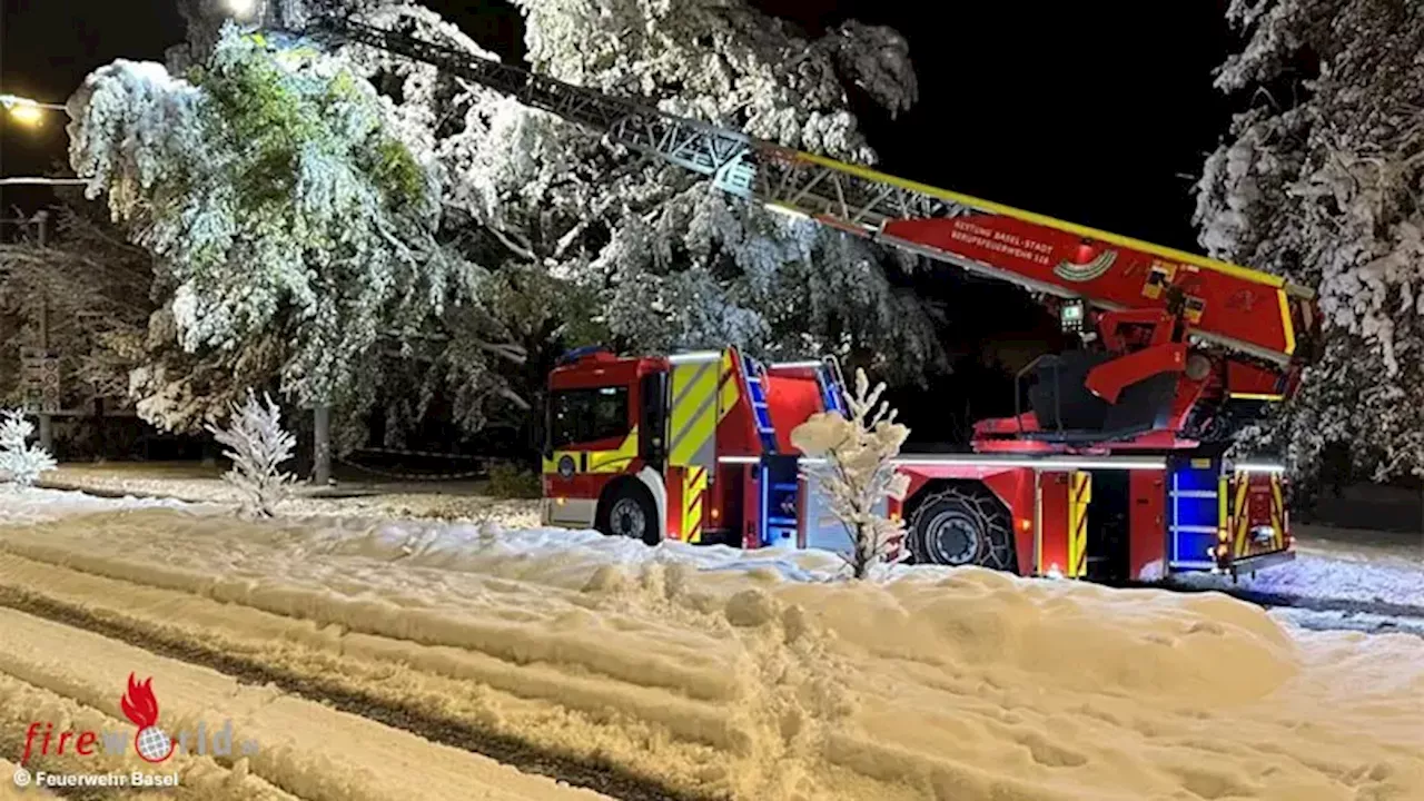 Sturm und Schneefall fordern Einsatzkräfte im Kanton Basel-Stadt