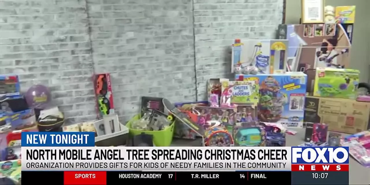 Team of Mobile County women collecting Christmas donations for children in need