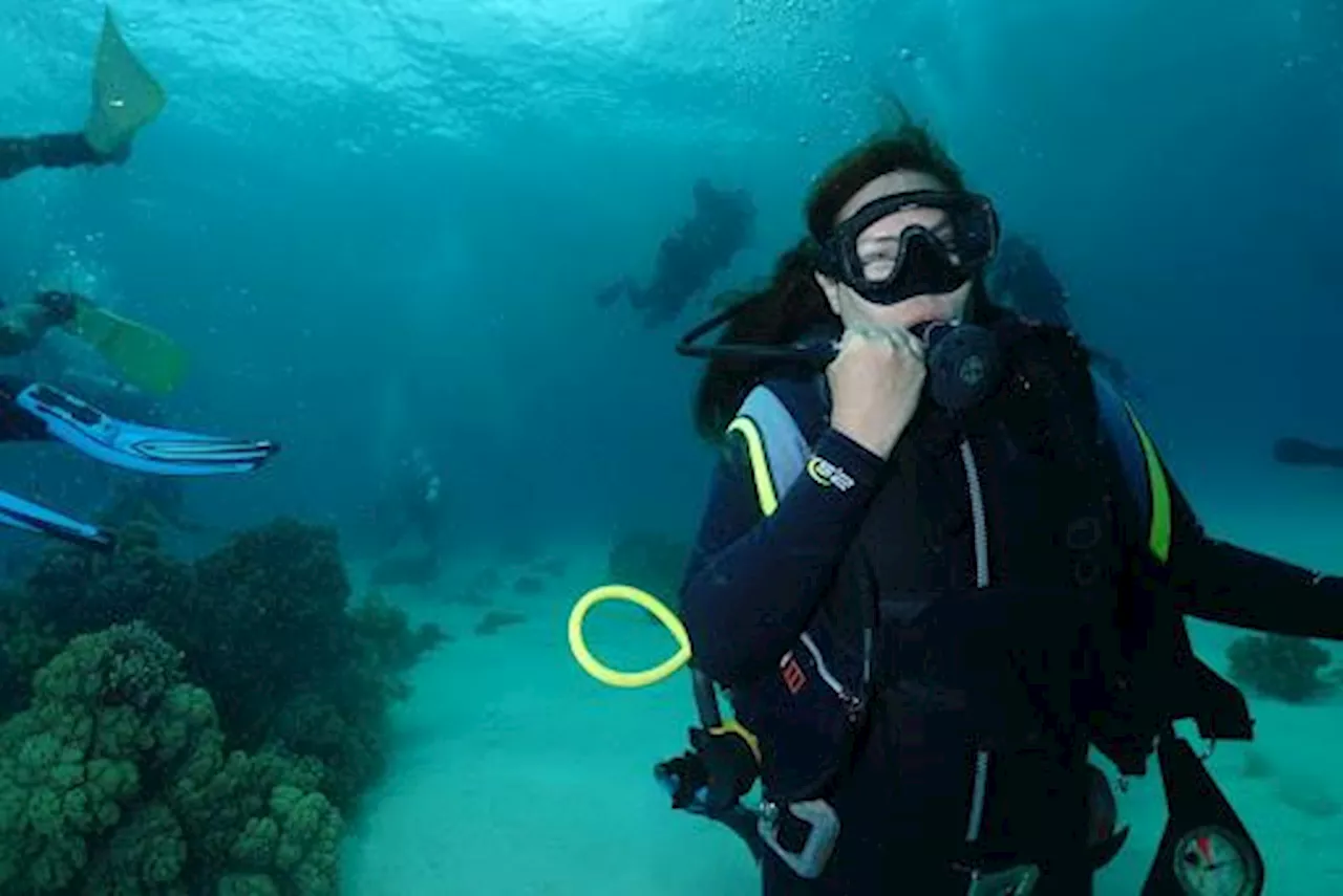 Philippines wins Best Dive Destination at TripZilla Excellence Awards 2024