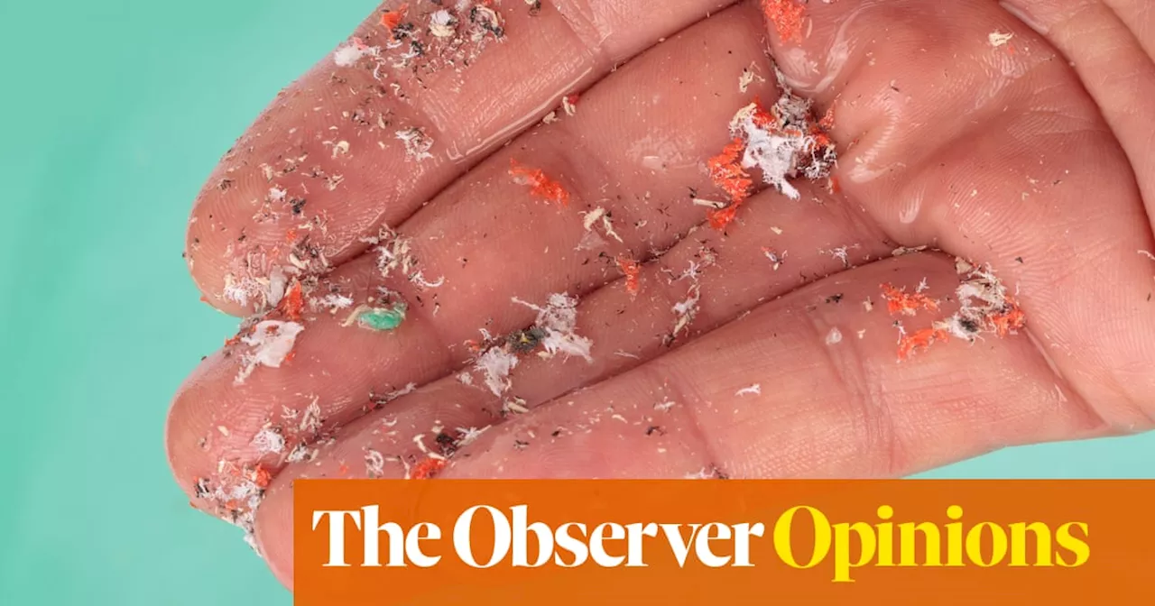 An open letter to the microplastics living in my body