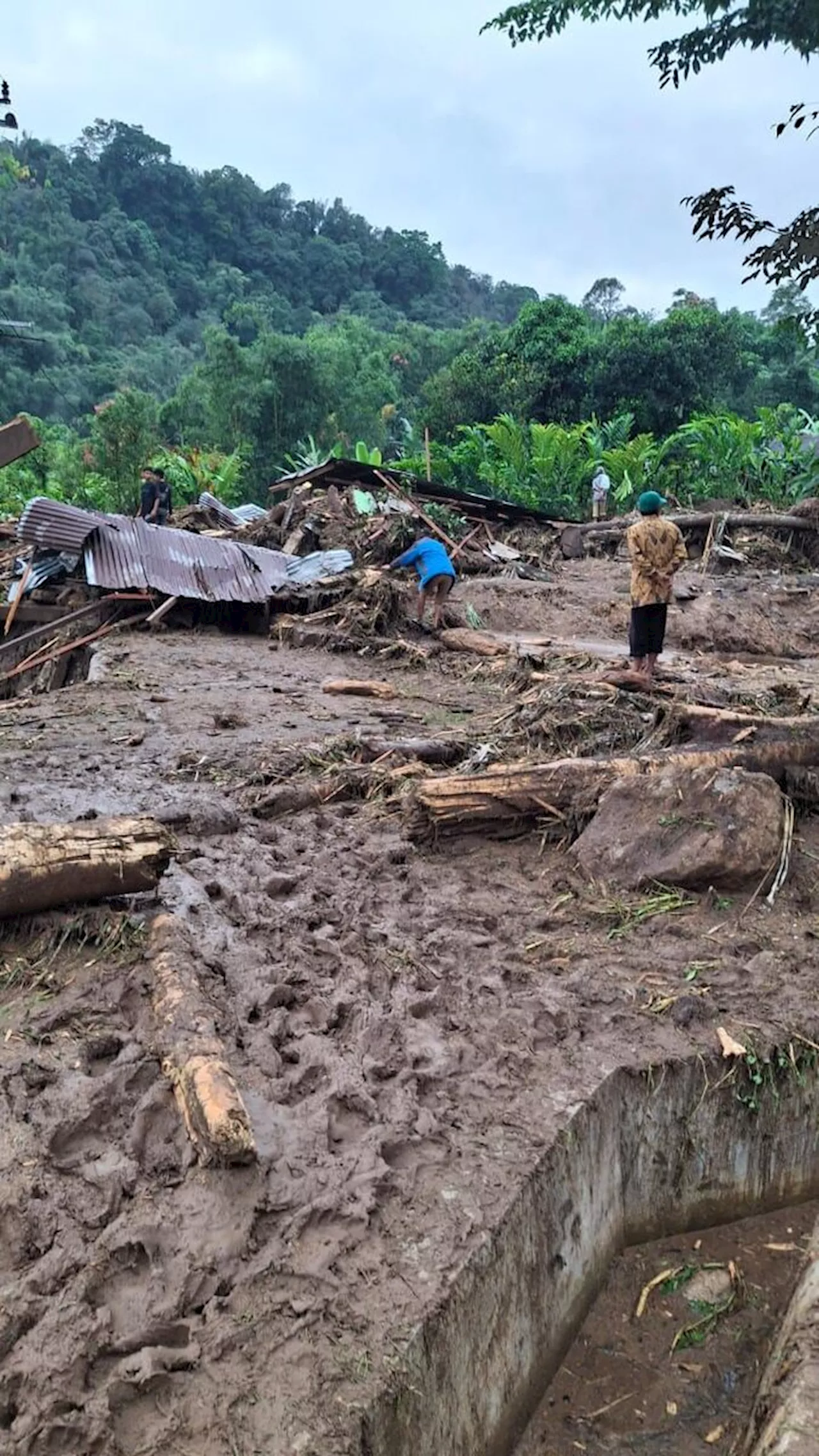 Banjir Bandang dan Longsor Sumatera Utara: Sembilan Warga Meninggal