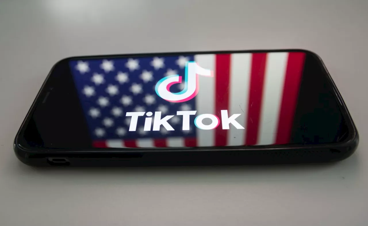 TikTok sucht laut Bericht Nähe zu Musk, um Verbot in den USA abzuwenden