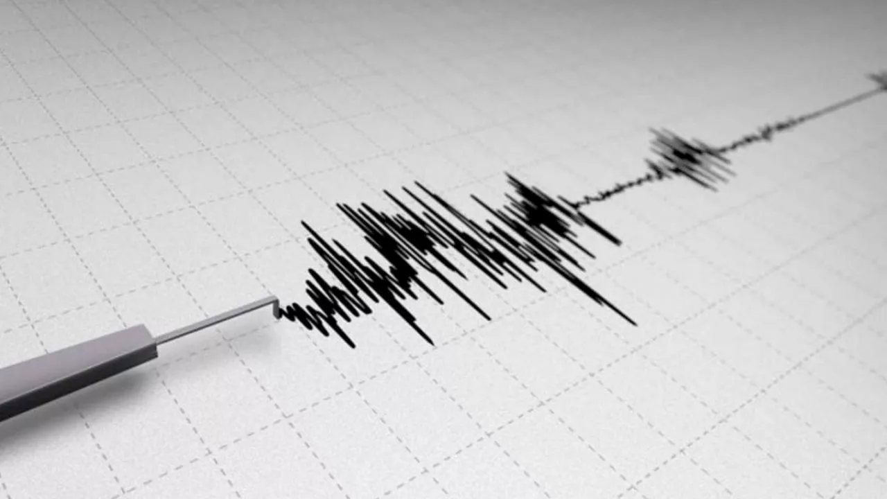  Microsismo de magnitud 2.3 y 2.0 en Álvaro Obregón y Benito Juárez sacuden la CDMX