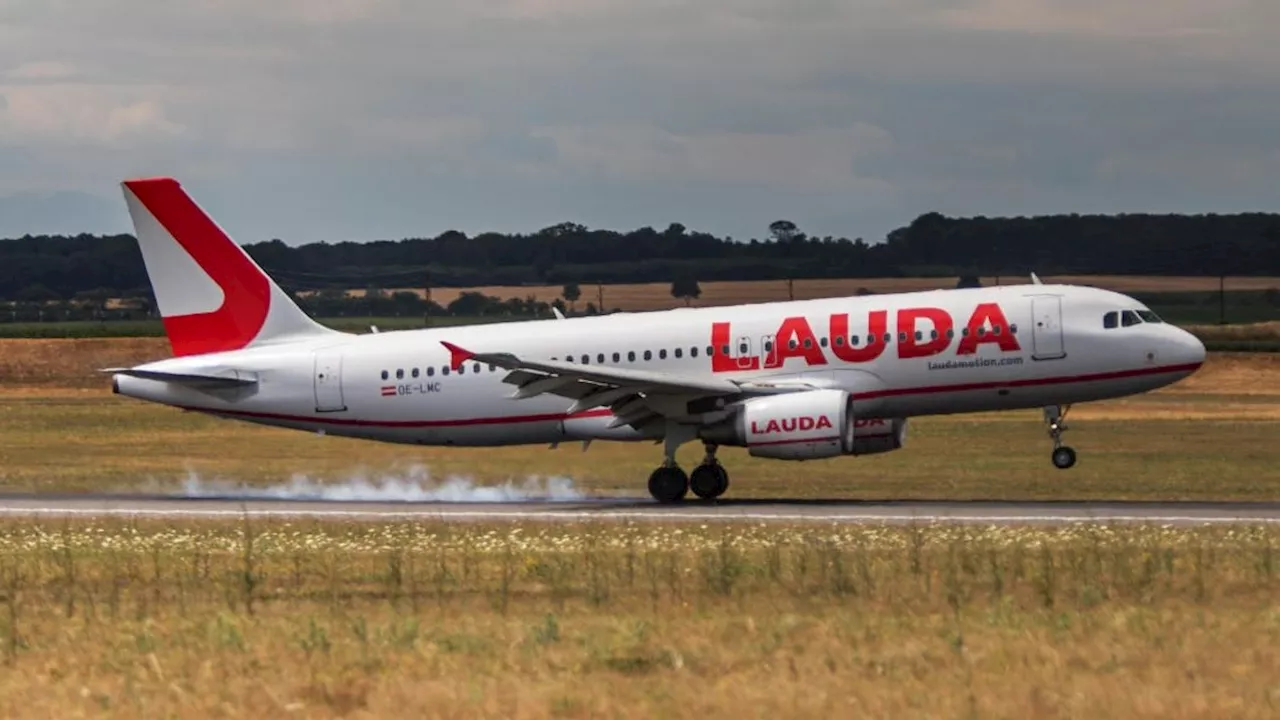 Flug annulliert - Opodo verschuldet falsche Information, Fluggast klagt gegen Airline