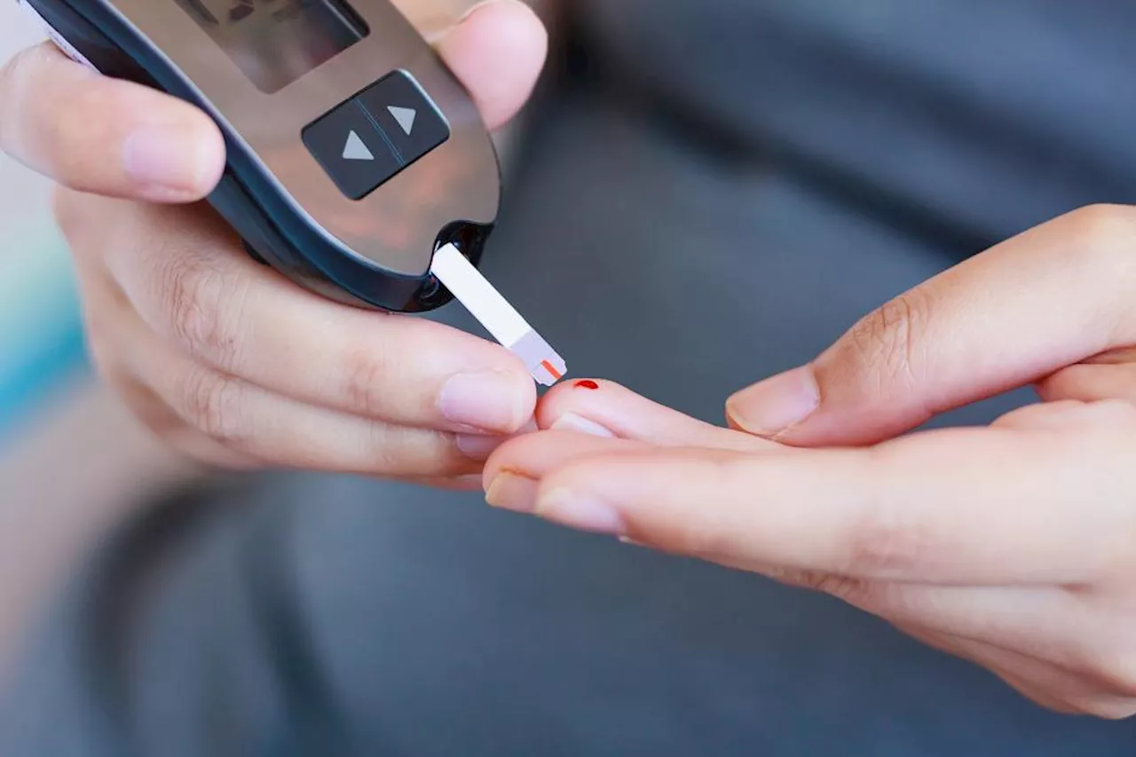 Fedtholdigt Mad Stresser Hjernen og Forårsager Diabetesrisiko