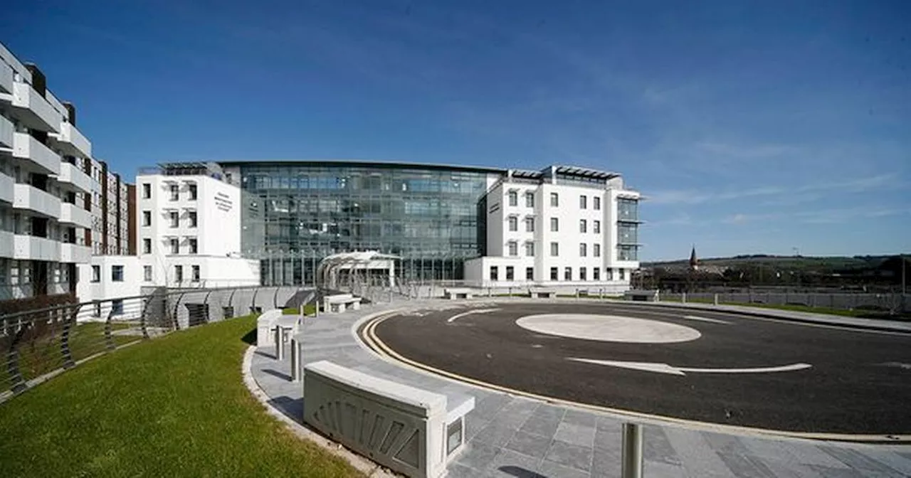 Man Arrested After Vicious Daytime Assault in Cork City