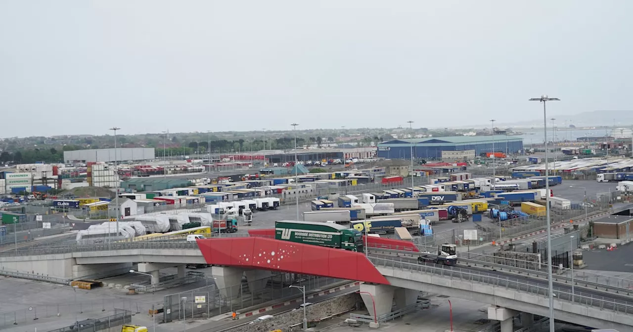 Ukrainian man who drowned after falling from ship in Dublin Port died due to ‘safety attitudes’