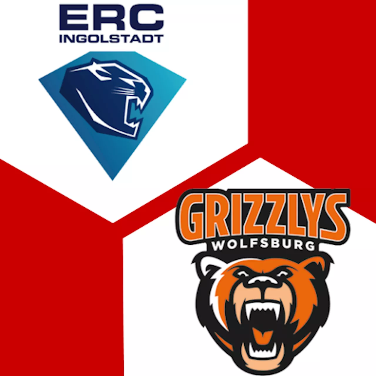 Grizzlys Wolfsburg 5:1 | 19. Spieltag | Deutsche Eishockey-Liga 2024/25