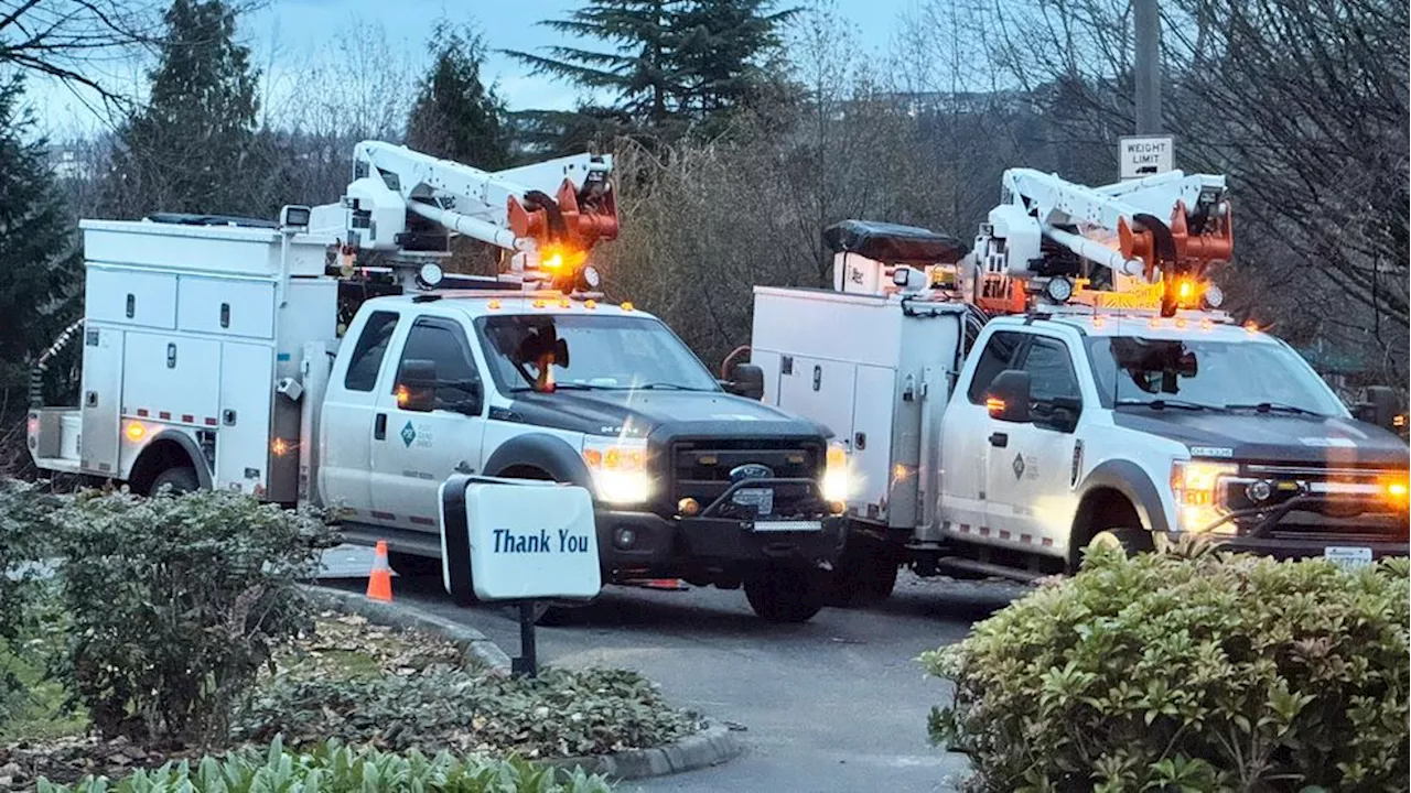 Power restored to 96% of PSE customers days after western Washington windstorm