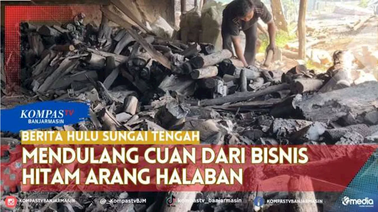 Mendulang Cuan dari Arang Halaban Hulu Sungai Tengah yang Tembus Pasar Ekspor