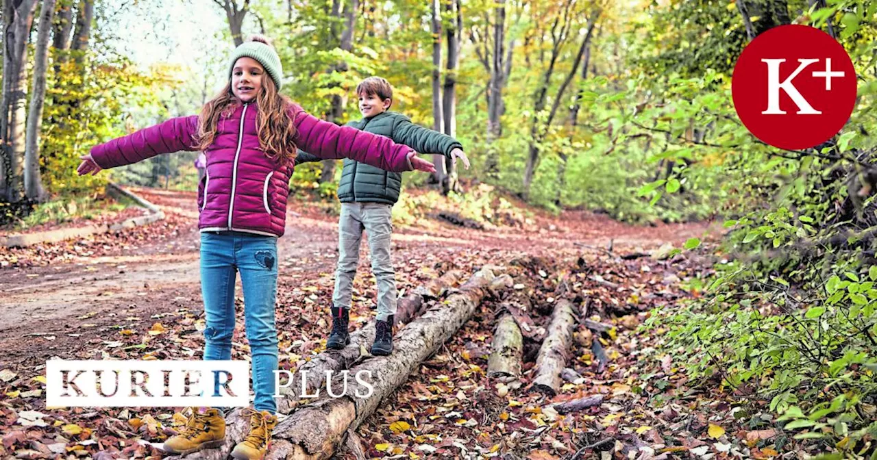 Waldpädagogik: Wie man (Stadt-)Kinder für die Natur begeistert