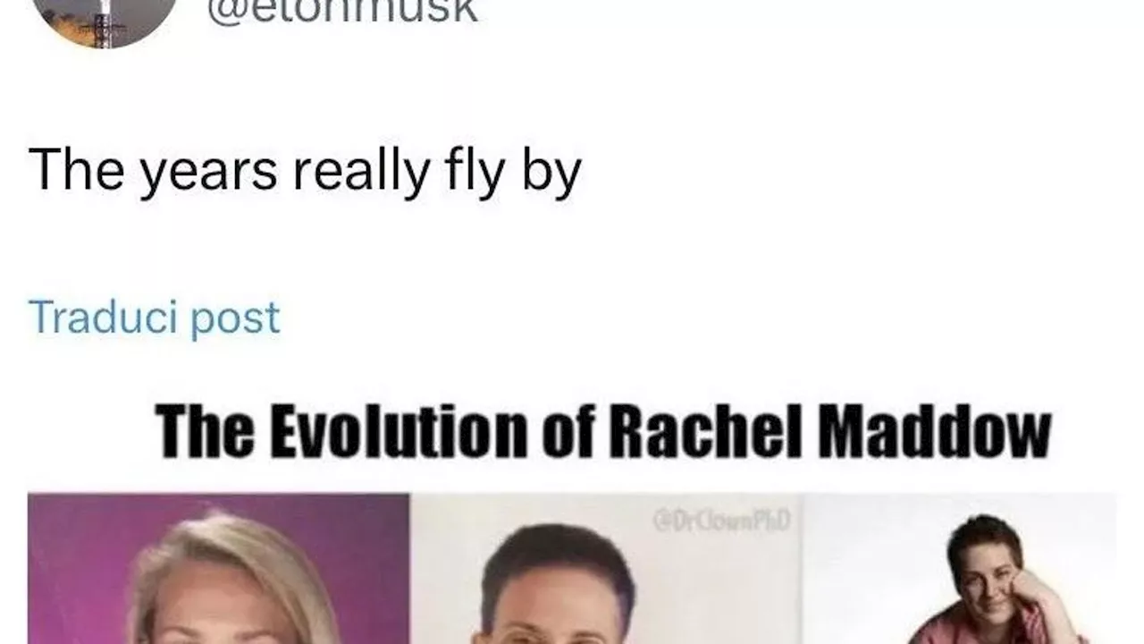 Musk, la guerra a Rachel Maddow e il tweet omofobo. Dopo le battute (con Trump jr) sull’acquisto di MSNBC