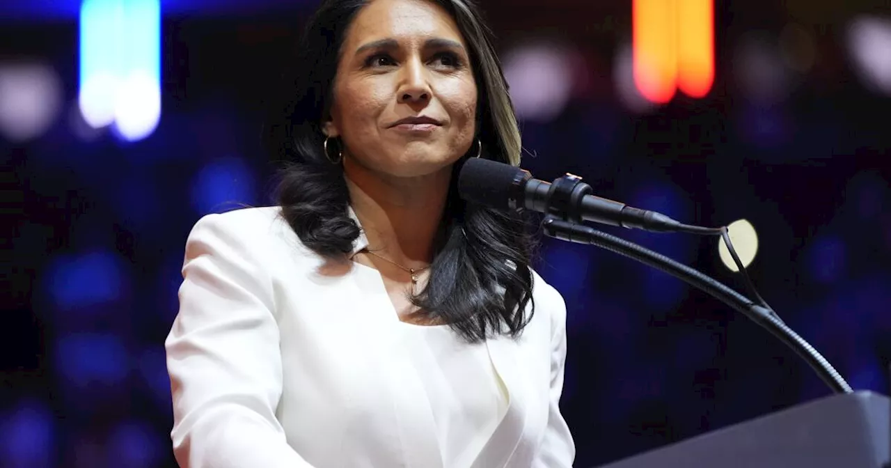 Republicans lash out at claims that Trump intelligence pick Tulsi Gabbard is 'compromised'