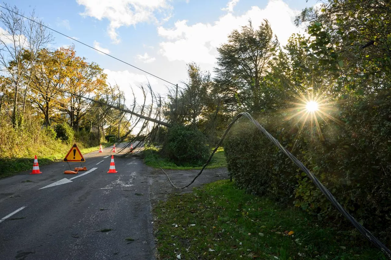 Six départements du centre-est en vigilance orange ce lundi pour vent violent