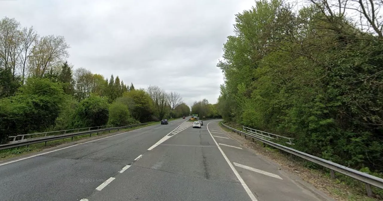 Man in His 60s Killed After Tree Falls on Car During Stormy Weather