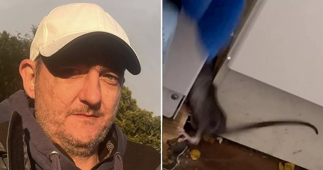 Man killing rats 'every day' that even live inside his cereal cupboard