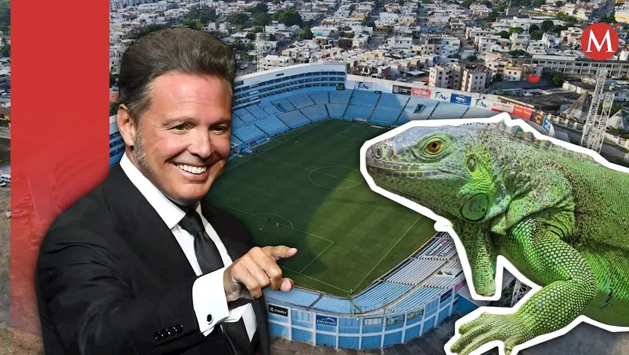 Captan a iguana en concierto de Luis Miguel en Tampico: 'Les gusta el Sol'