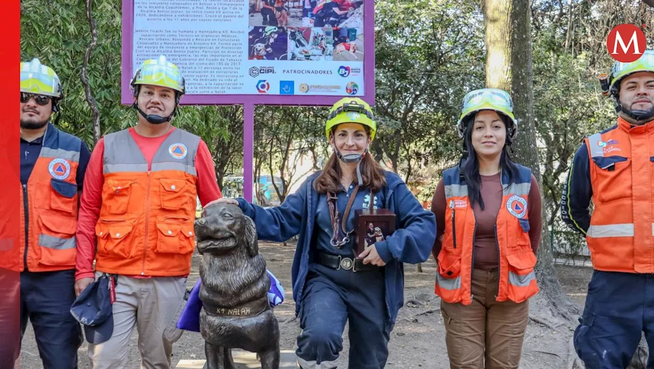 Erigen estatua de bronce en honor a 'Nalah', perrita rescatista que salvó a 17 personas