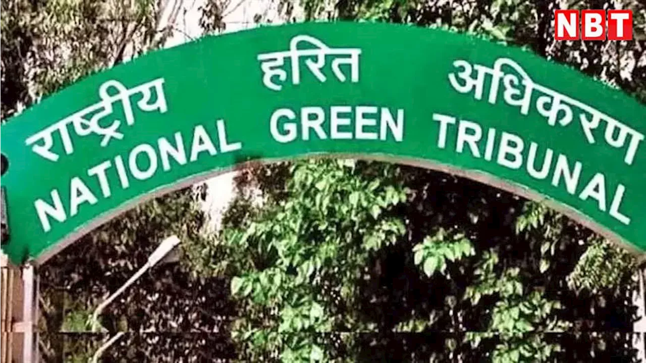 DDA-DJB पर्यावरण बचाने के लिए गंभीर नहीं... NGT ने दिल्ली जल बोर्ड और डीडीए को पर्यावरण की अनदेखी के लिए फटकार लगाई