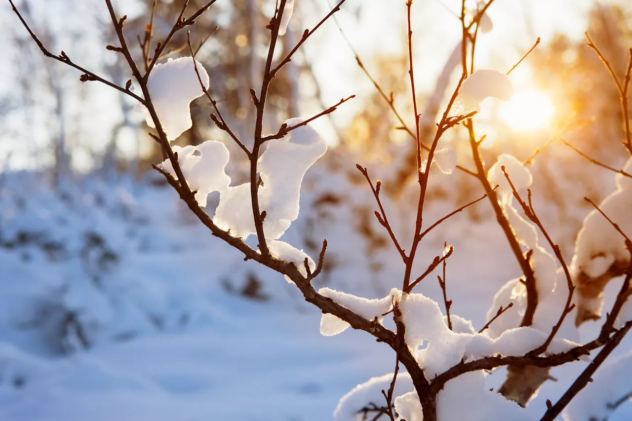 Winter Solstice: The Astronomical Start of Winter